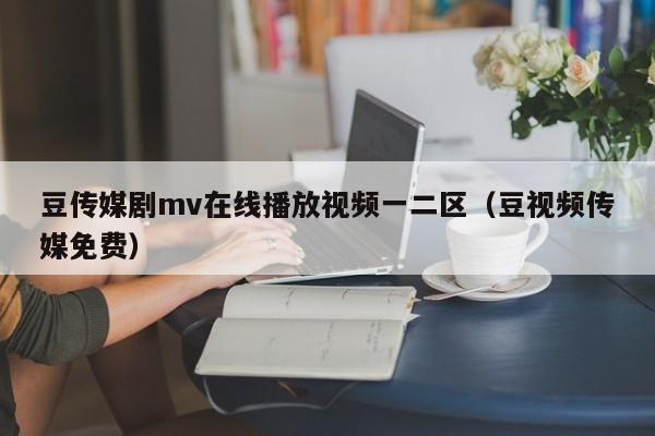 豆传媒剧mv在线播放视频一二区（豆视频传媒免费）