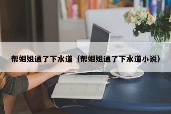 帮姐姐通了下水道（帮姐姐通了下水道小说）