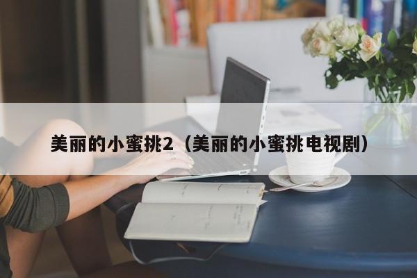 美丽的小蜜挑2（美丽的小蜜挑电视剧）