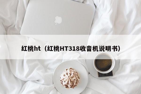 红桃ht（红桃HT318收音机说明书）
