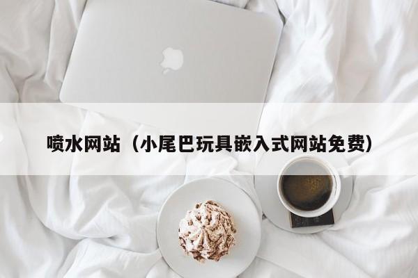 喷水网站（小尾巴玩具嵌入式网站免费）