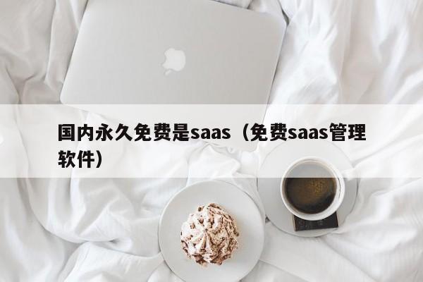 国内永久免费是saas（免费saas管理软件）